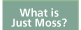 What Is Just Moss?